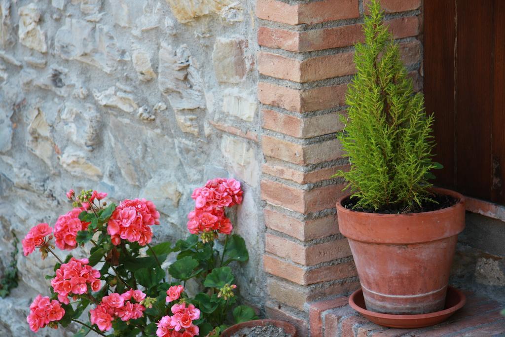 Borgo Fango Apartment Montieri Exterior photo