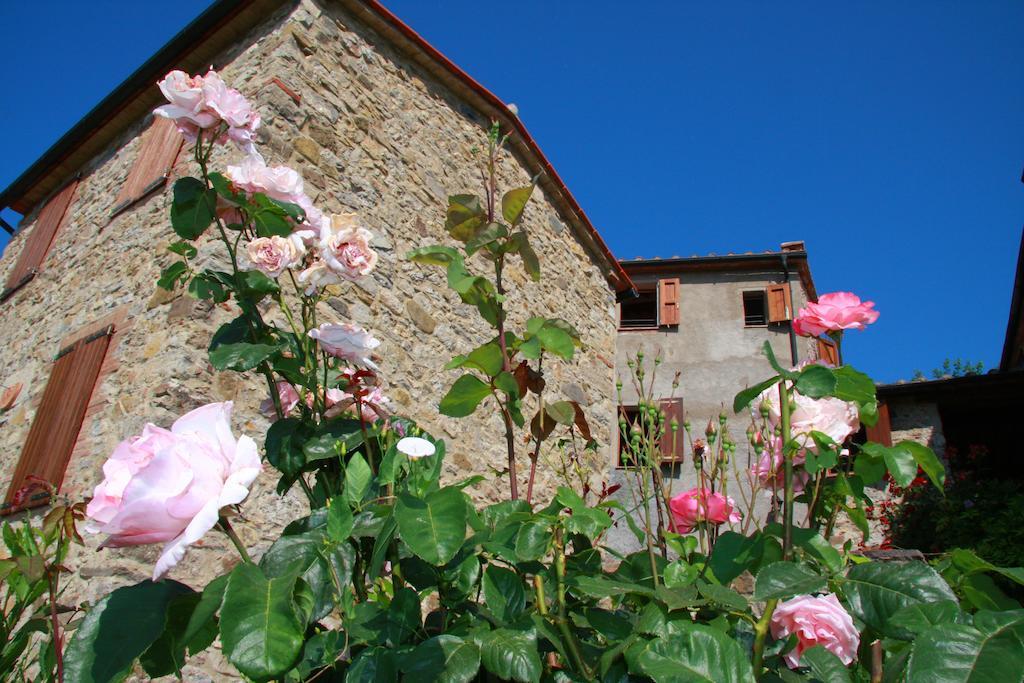 Borgo Fango Apartment Montieri Room photo